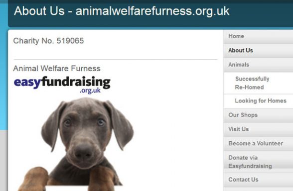 Animal Welfare (Furness)