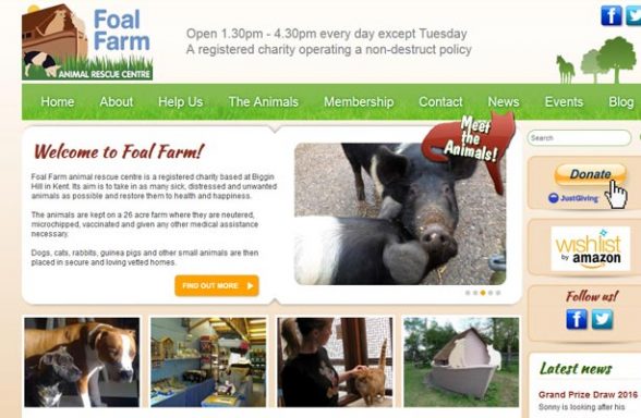 Foal Farm Rescue Centre