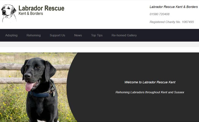 Labrador Rescue Kent and Borders