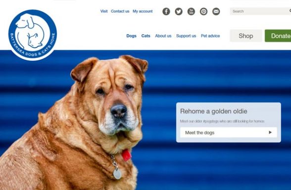 Battersea Dogs and Cats Home