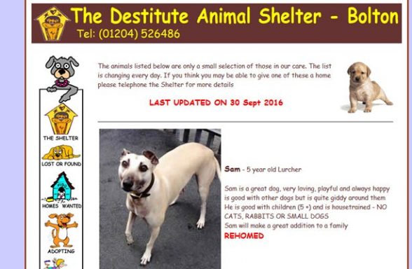 Destitute Animal Shelter