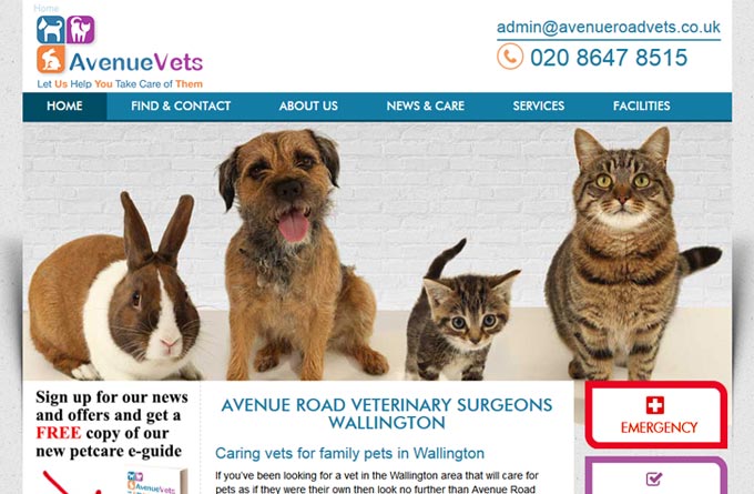 Avenue Road Veterinary Surgery