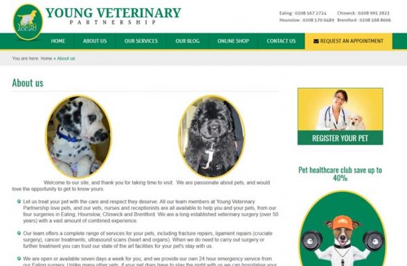 Young Veterinary Partnership