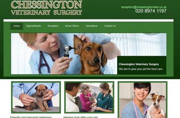 Chessington Veterinary Surgery